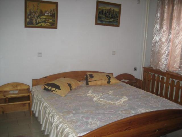 Hotel Mishel Kocherinovo Luaran gambar